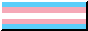 button of the trans pride flag